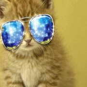 Narcis Harrison-pates