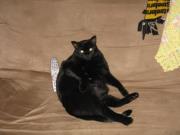 Janeann Nickle-baker