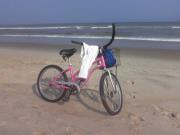 Donielda Tripp-leino