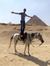 Adel El...
