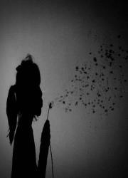 بيان ريحاوي