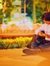 Elwin P...