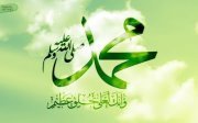 Ahmed Abd elwahab