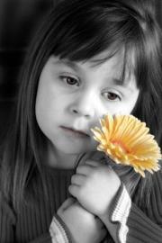 شهرزاد النيل