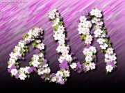 أحمد أبو عامود