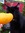 ☼☼Puddy Mango☼☼ (erincat) | 76 comments