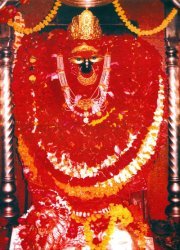 Siddhartha Yadav