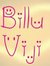 Billu Viji