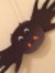 Sue Cat