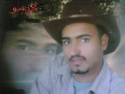 كيمو الخولى