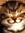 Vincent