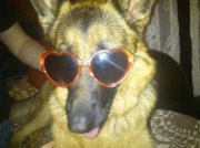 Јелена Матић