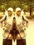 Puput Sekar