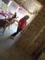 Noura D...