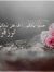 Shadi M...