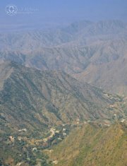 رائد الزهراني