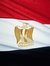 Ahmed A...