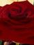 Yasir H...