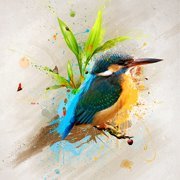 المصمم ضياء