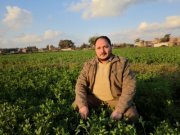 عزت العفيفي غنيم