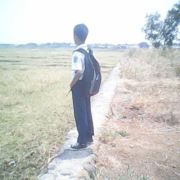 Bayu Nugroho