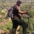 Salim Balaa