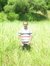Yudhi S...