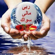 Bassem Almolla