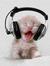 Cat Faircloth