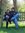 Simao