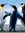 7709adam | 1 comments