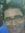 Manoj V...