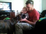 Callaghan Upholstery