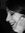 Alina D...