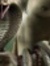 Ma Nose