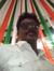 Ragu Sekar