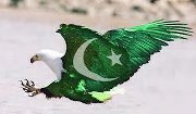 Muhammad Aamer