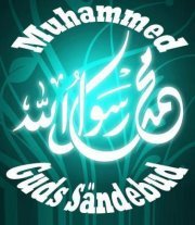 Abdallah Gamal