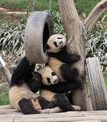 Nathaniel's best friend, Fluffy the elephant!!!