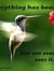 Robin B