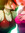Kirinomari