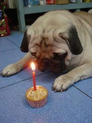 Nuch เด็กแสนซน