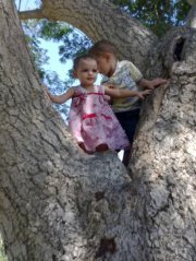 ابراهيم محمد ابراهيم