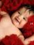 Anand S...