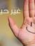 Ahmed E...