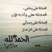 محمود الفضالي