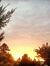 Rhubarb Sky