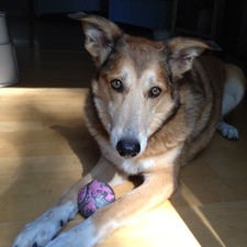 Leah