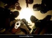 شایان شاملو