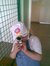 Jakub W...
